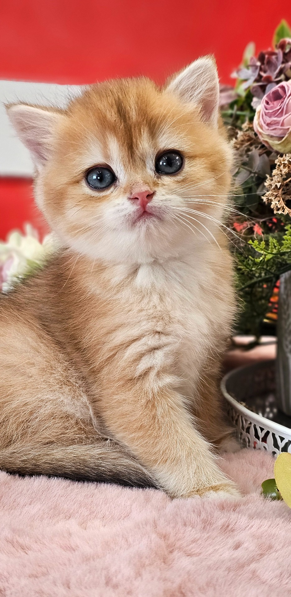 Freya
