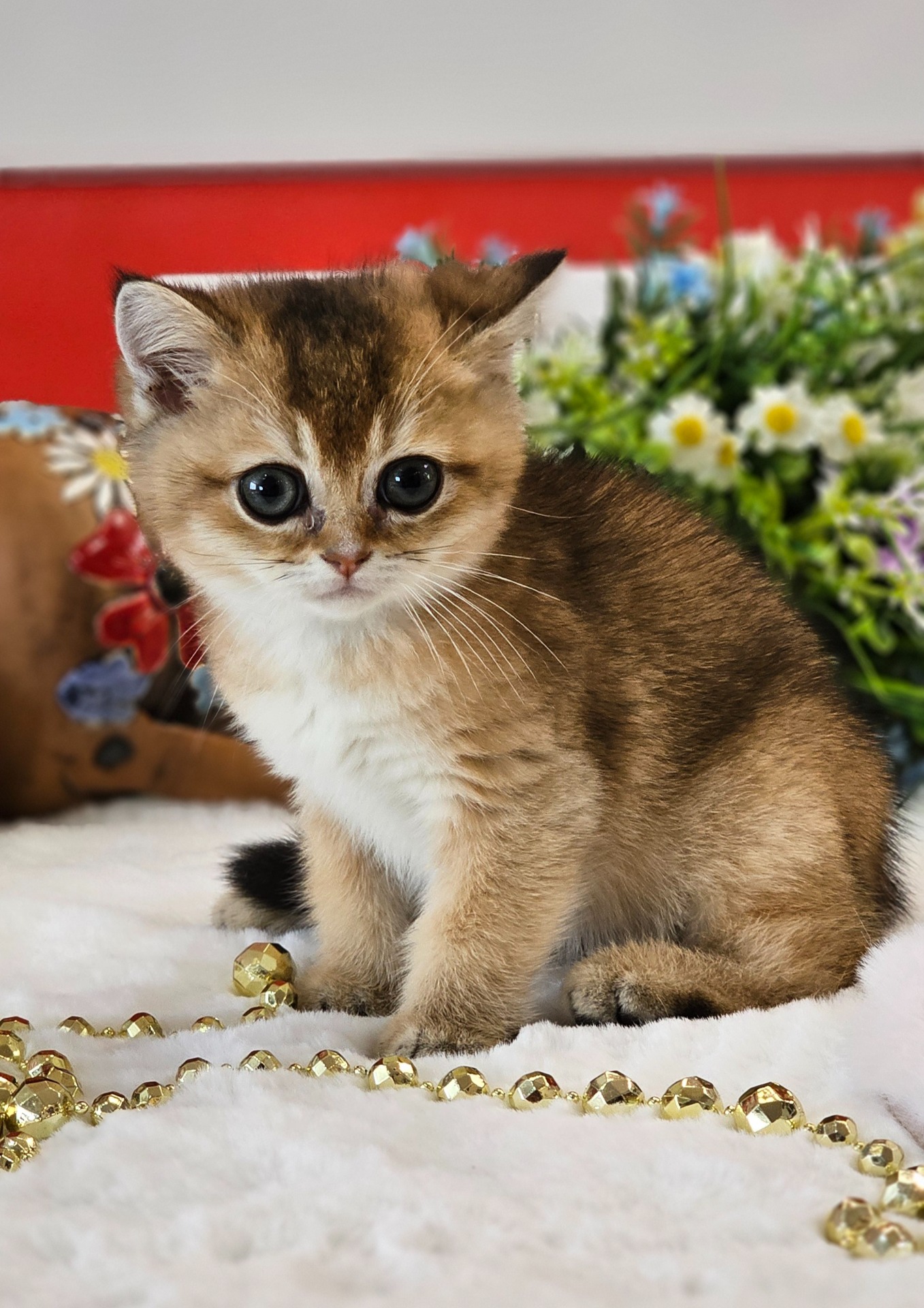 Julinka GoldenViolet
